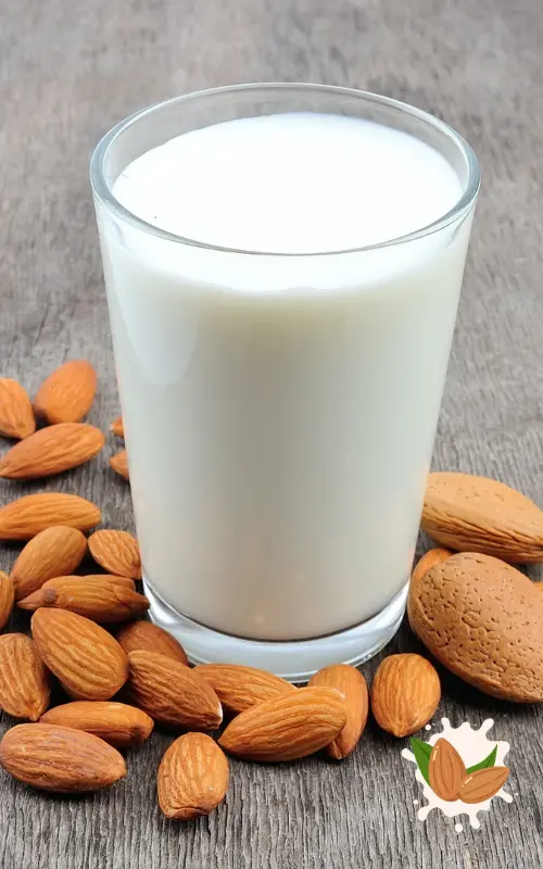 Recept na mandlové mléko